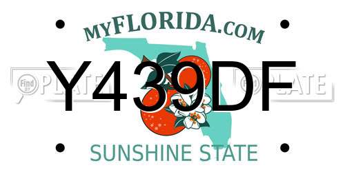 Y439DF Florida License Plate
