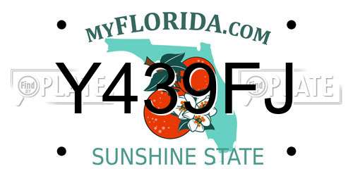 Y439FJ Florida License Plate