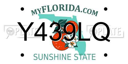 Y439LQ Florida License Plate
