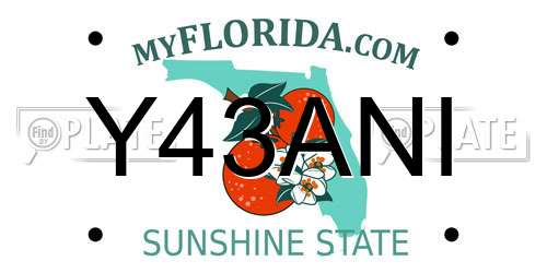Y43ANI Florida License Plate