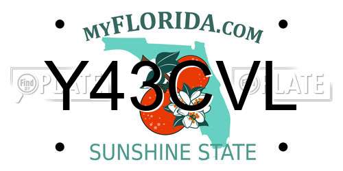 Y43CVL Florida License Plate