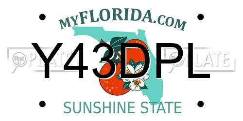 Y43DPL Florida License Plate