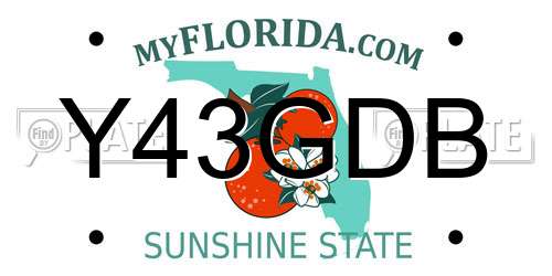 Y43GDB Florida License Plate
