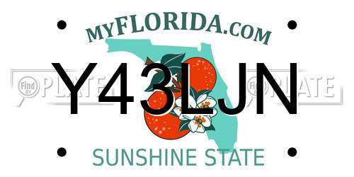 Y43LJN Florida License Plate