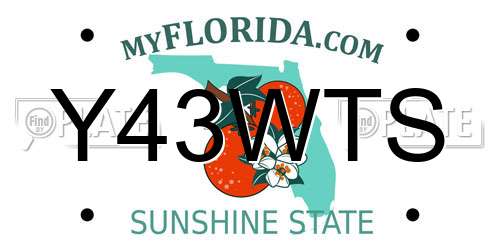 Y43WTS Florida License Plate