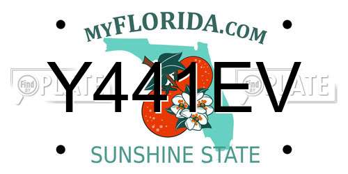 Y441EV Florida License Plate