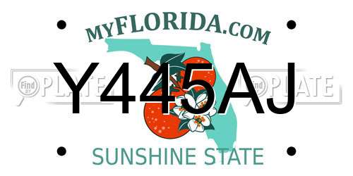 Y445AJ Florida License Plate