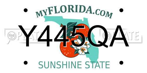 Y445QA Florida License Plate
