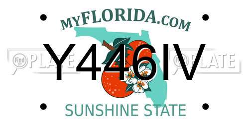 Y446IV Florida License Plate