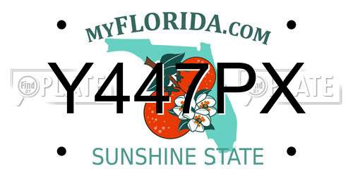 Y447PX Florida License Plate