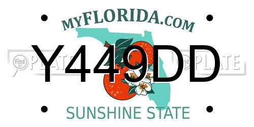 Y449DD Florida License Plate