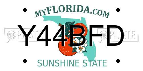 Y44BFD Florida License Plate