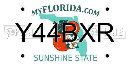 Y44BXR Florida License Plate