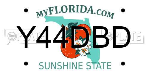 Y44DBD Florida License Plate