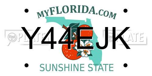 Y44EJK Florida License Plate