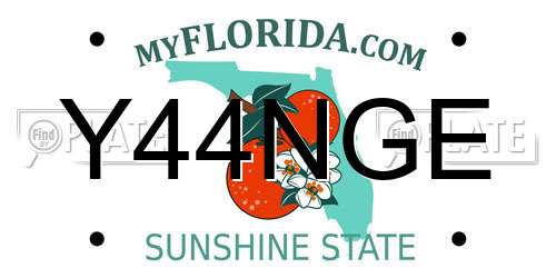 Y44NGE Florida License Plate