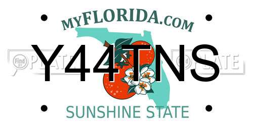 Y44TNS Florida License Plate
