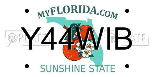Y44WIB Florida License Plate