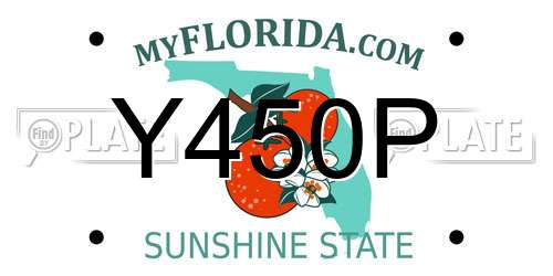 Y450P Florida License Plate