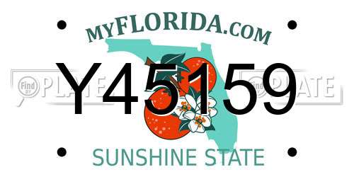 Y45159 Florida License Plate