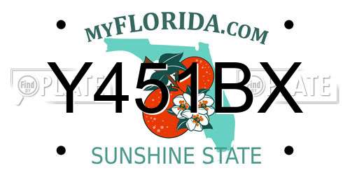 Y451BX Florida License Plate
