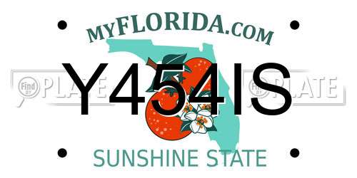 Y454IS Florida License Plate