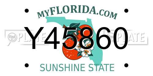 Y45860 Florida License Plate