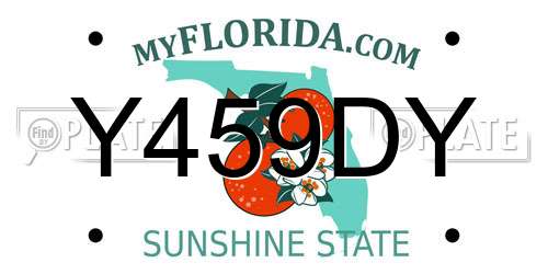 Y459DY Florida License Plate