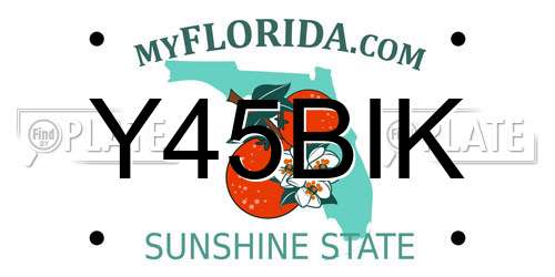 Y45BIK Florida License Plate