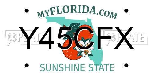Y45CFX Florida License Plate