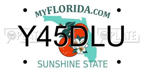Y45DLU Florida License Plate