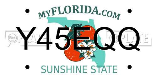 Y45EQQ Florida License Plate