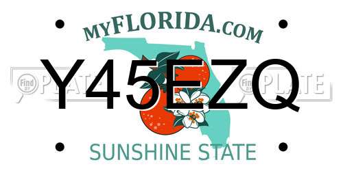Y45EZQ Florida License Plate