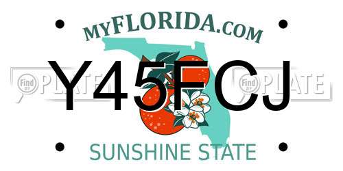 Y45FCJ Florida License Plate