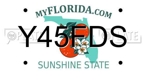 Y45FDS Florida License Plate