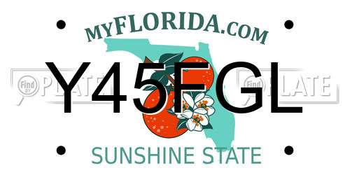 Y45FGL Florida License Plate