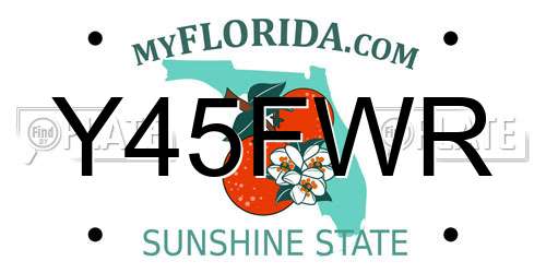 Y45FWR Florida License Plate