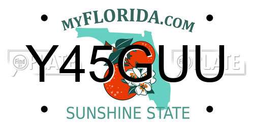 Y45GUU Florida License Plate