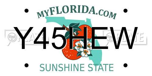 Y45HEW Florida License Plate