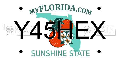 Y45HEX Florida License Plate