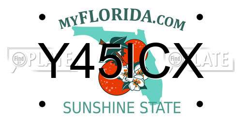 Y45ICX Florida License Plate