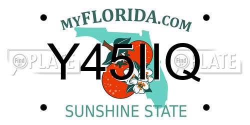 Y45IIQ Florida License Plate