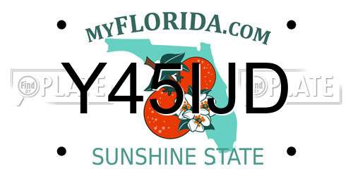 Y45IJD Florida License Plate
