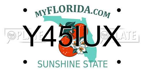 Y45IUX Florida License Plate