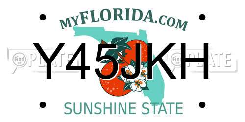 Y45JKH Florida License Plate
