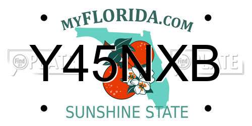 Y45NXB Florida License Plate