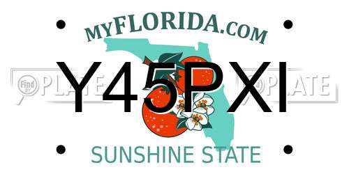 Y45PXI Florida License Plate