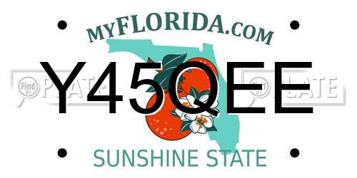 Y45QEE Florida License Plate
