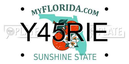 Y45RIE Florida License Plate