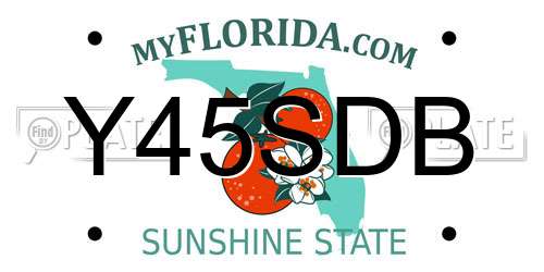 Y45SDB Florida License Plate